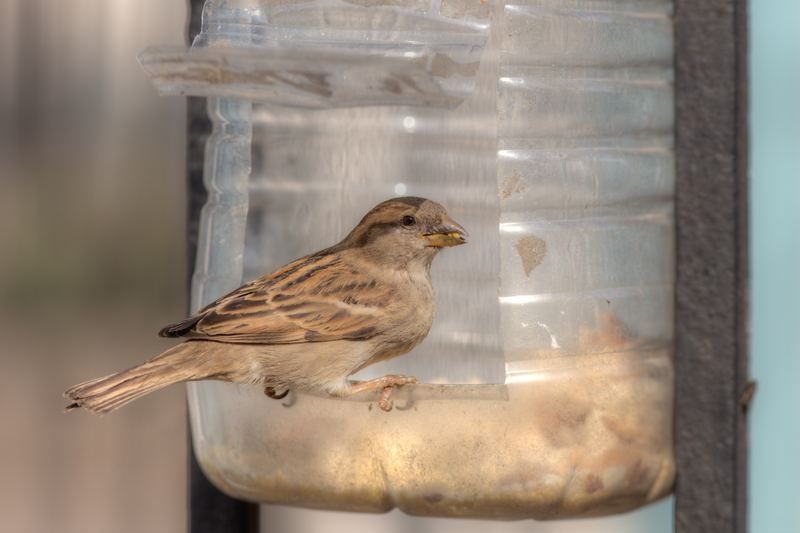 Rubbish removal Waste removal